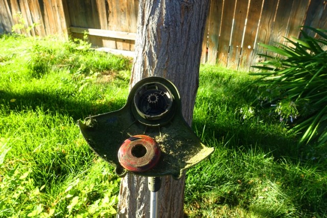 string trimmer, electric, yard work, lawn,