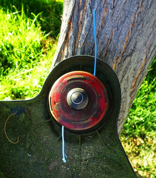 string trimmer, electric, yard work, lawn,