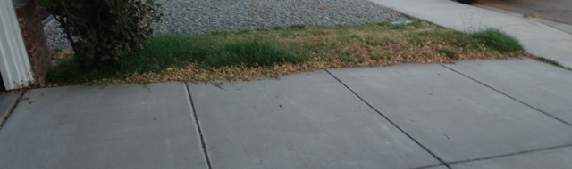 grass, yard work, mowing, front yard, too hot, summer grass