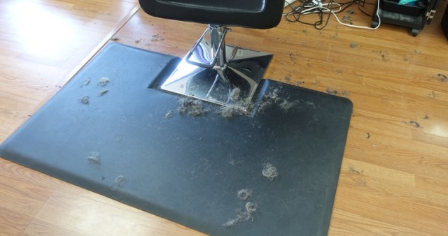 hair salon, hair trimmings, hair cut