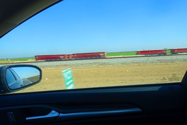 Central Valley, Tomato Harvest, Farming, food, tomato trucks