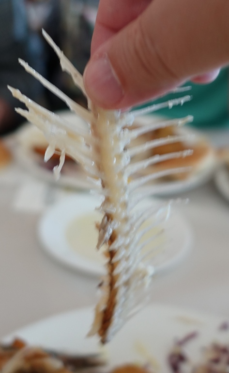 st. peter's restaurant, galilee, fish, food, israel cuisine