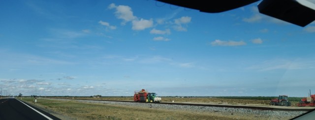 Sunday drive, central valley, tomatoes, hills, rain, greening hills