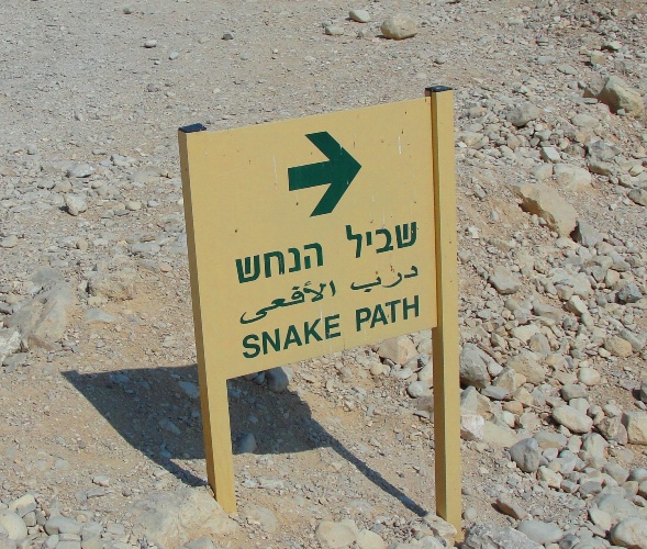 masada, snake trail, fortress, dead seaa, climbing, cable car