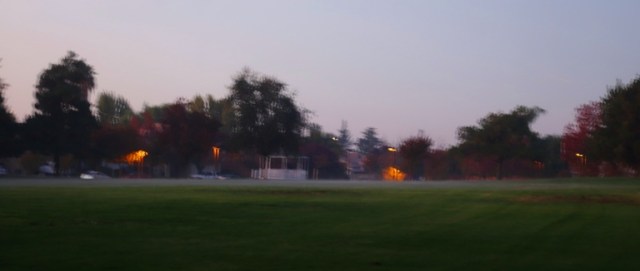 Tracy california, park, fog, afternoon, walk