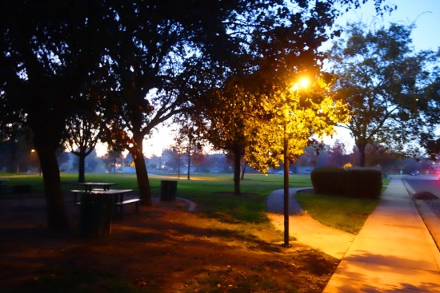Tracy california, park, fog, afternoon, walk