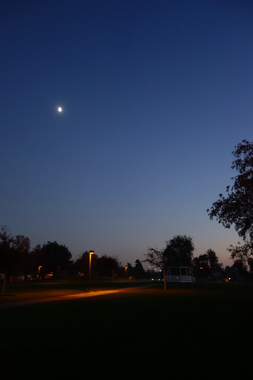 Tracy california, park, fog, afternoon, walk