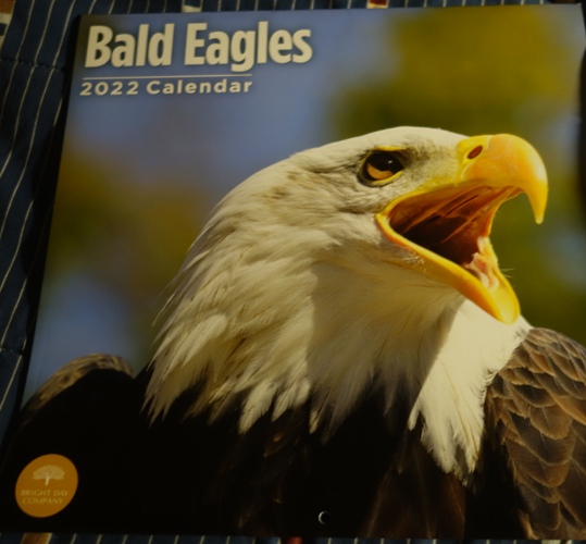 calendars, 2022, barns, calendars.com, eagles, main street, 