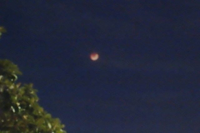 May 15 eclipse, lunar eclipse, cloudy