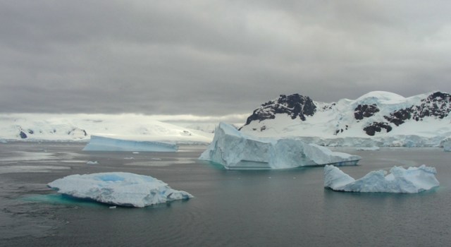 Paradise Bay Antarctica, icebergs, cruise, ship, furthest south, peaceful