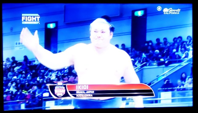 sumo, sports california, japan, sports