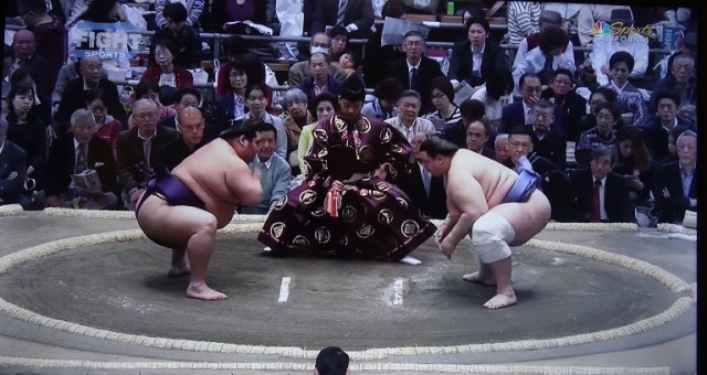 sumo, sports california, japan, sports