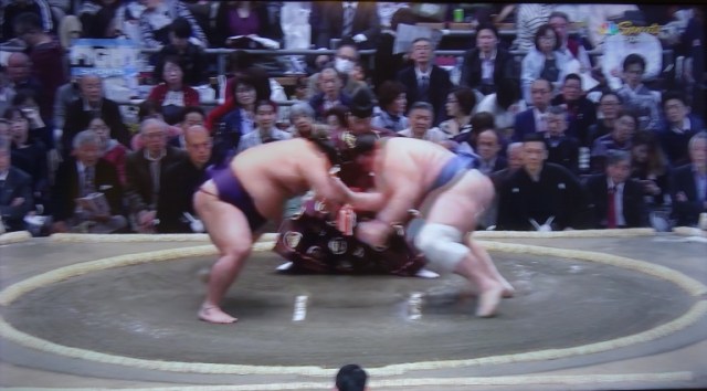 sumo, sports california, japan, sports