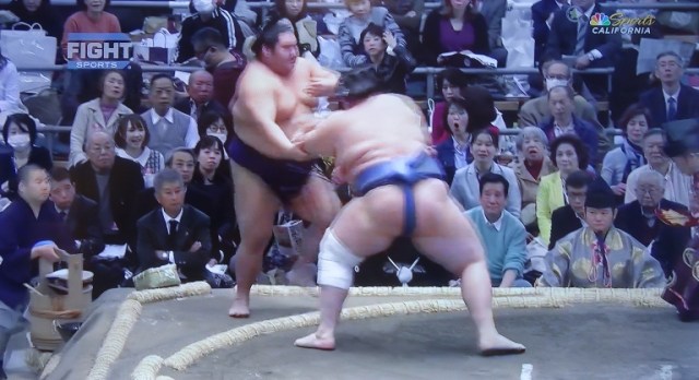 sumo, sports california, japan, sports