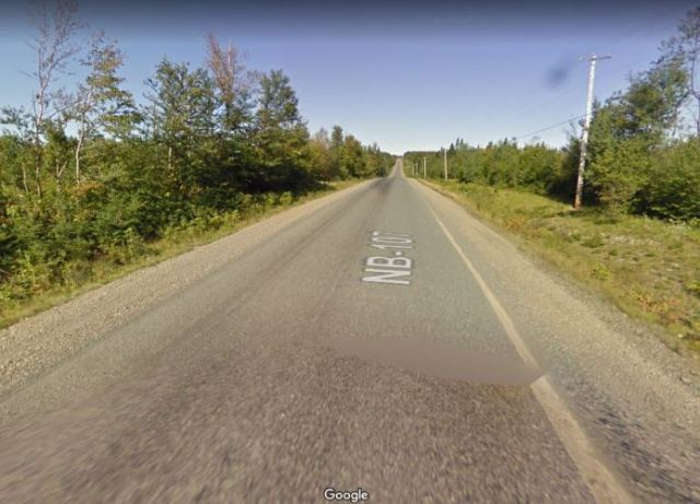 Virtual hike, juniper new brunswick, logging, trails, walking