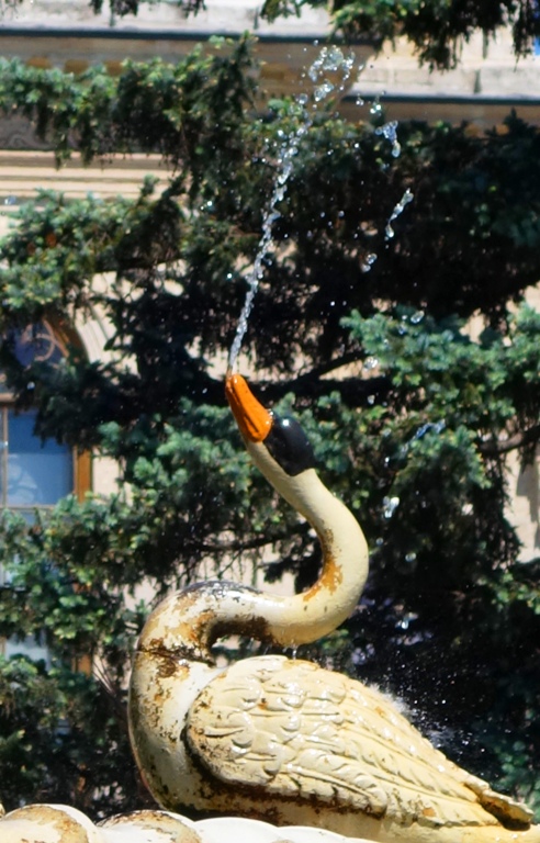 Dolmabahce Palace, fountain, istanbul, swans