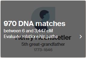 ancestry, dna, thrulines, amish, matches