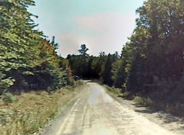 virtual hike, kokadjo maine, wilderness, dirt roads, moose
