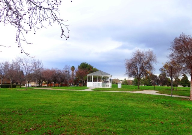 walk, sunset, mushrooms, tree down, gazebo, storm clouds