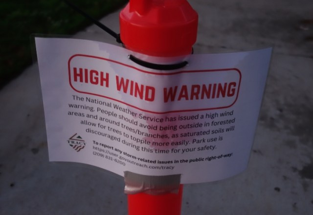 High Wind, saturated soil, park warning, trees