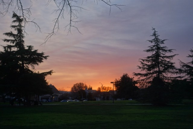 sunset progression, california, red sky, sunsets, park, silhouette