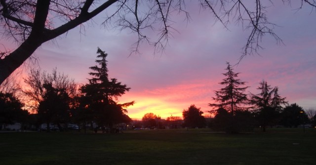 sunset progression, california, red sky, sunsets, park, silhouette 