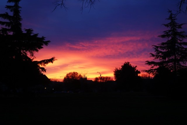 sunset progression, california, red sky, sunsets, park, silhouette 