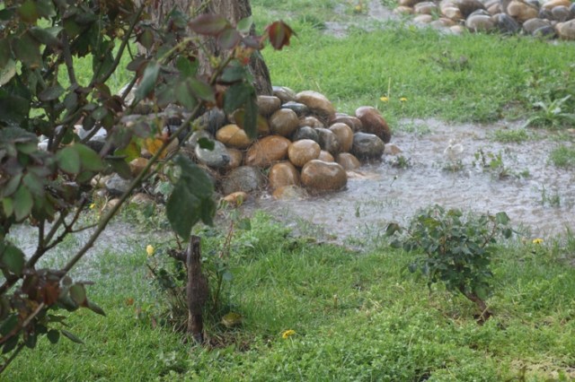 heavy rain, thunderstorm, flooding, rain storm