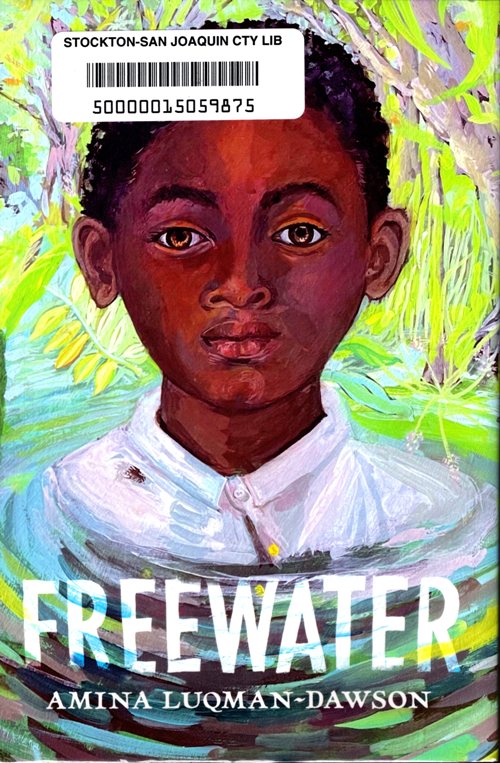 newbery 2023, newbery medal, newbery honor book, libraries, books