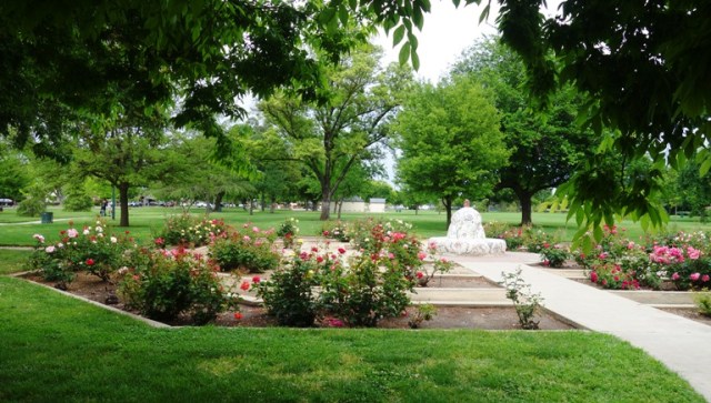Saturday, Rose Garden, Roses, Clouds, Night shots