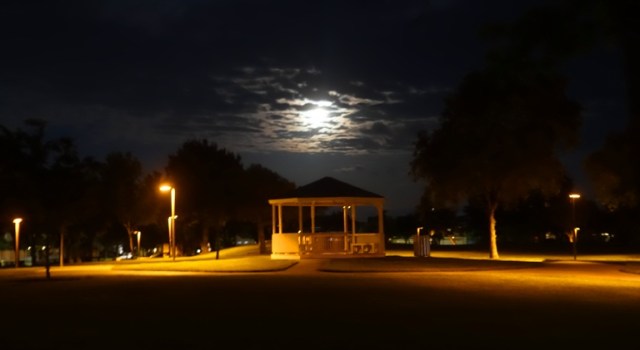 Saturday, Rose Garden, Roses, Clouds, Night shots