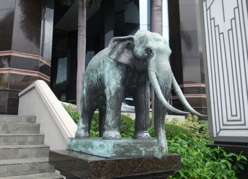 Walk, street, sidewalk, bangkok, elephant