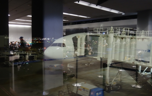 airport, SFO, United, Chicago, O'Hare, ORD, Walkway, Cannabis Amnesty Box, Dinosaur 