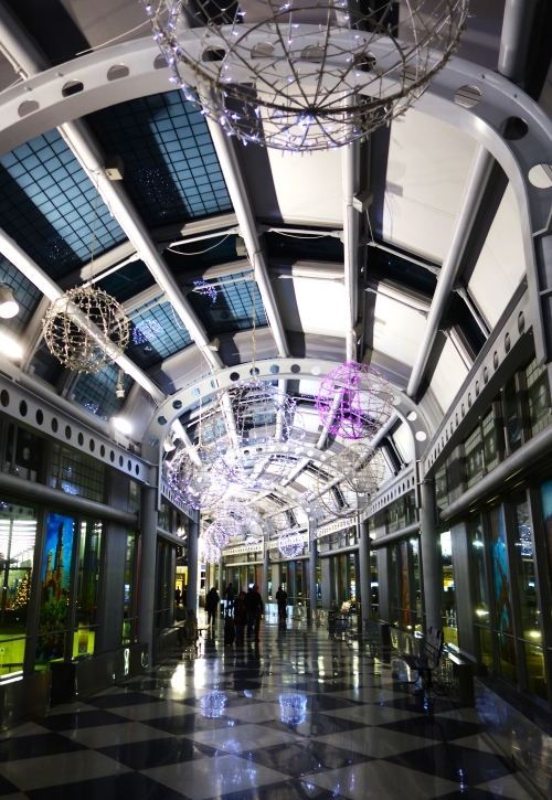 airport, SFO, United, Chicago, O'Hare, ORD, Walkway, Cannabis Amnesty Box, Dinosaur 