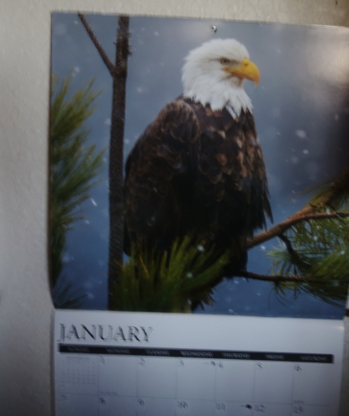 calendars, 2024 calendars, barns eagles, main street, hawaii, jane austen