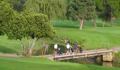 fairway hotel, flora and fauna, golf, flowers