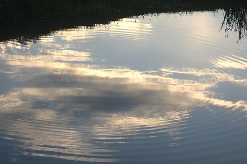 hotel, south africa, johannesburg, Fairway, golf course