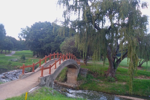 hotel, south africa, johannesburg, Fairway, golf course