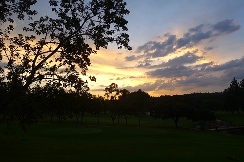 South Africa, Fairway, Hotel, Johannesburg, recover day