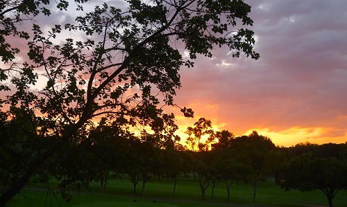 hotel, food, rabbit, sunset, broken chair